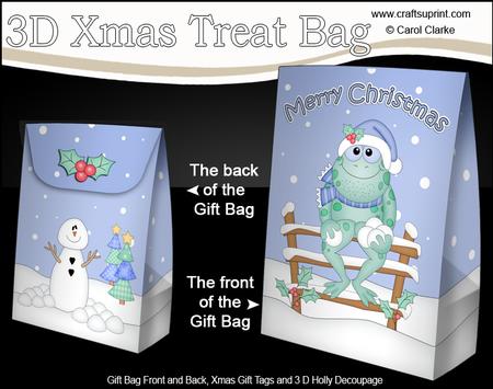 3D Little Christmas Freddy Frog Gift Bag Mini Kit