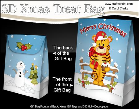 3D Little Christmas Tiger Gift Bag Mini Kit