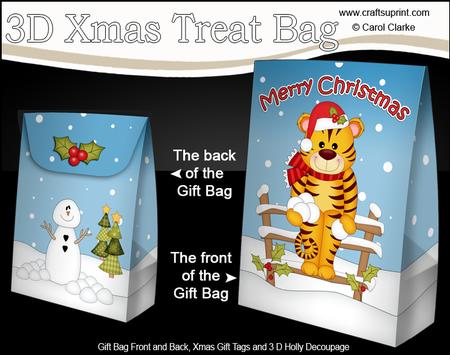 3D Little Christmas Tiger Gift Bag Mini Kit