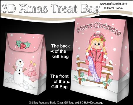 3D Little Christmas Snowboarder Gift Bag Mini Kit