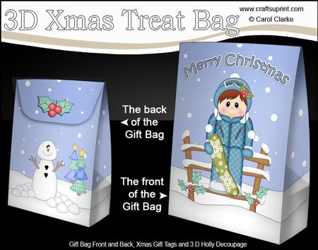 3D Little Christmas Snowboarder Gift Bag Mini Kit
