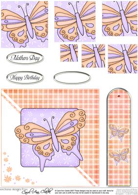 Butterfly Quick Card with Pyramage Topper