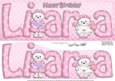 Large Dl Birthday Liara Teddies 3D Decoupage