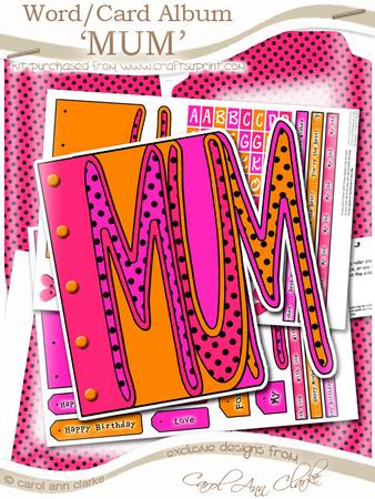 Mum Word Book Kit in Tooti Frooti Watermelon