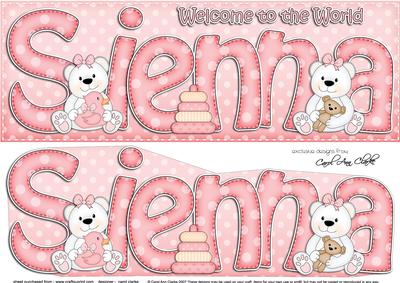 Large Dl Welcome to the World Sienna Teddies 3D Decoupage