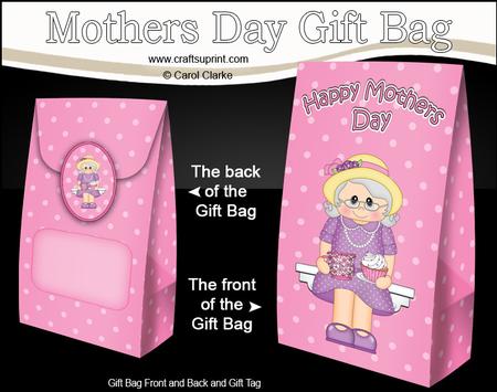 3D Cupcake Connie Mothers Day Gift Bag Mini Kit