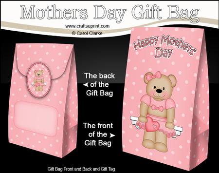 3D Livvy Bear's Heart Mothers Day Gift Bag Mini Kit