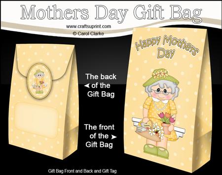 3D Gardening Agnes Mothers Day Gift Bag Mini Kit