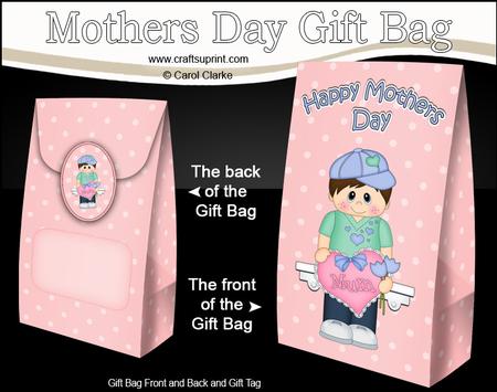 3D Little Boy Joey Mothers Day Gift Bag Mini Kit