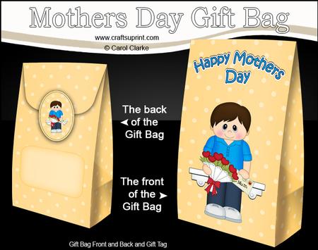 3D Shawn's Flowers for Mum Mothers Day Gift Bag Mini Kit