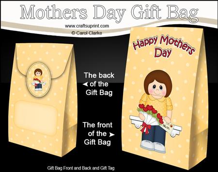 3D Kira's Flowers for Mum Mothers Day Gift Bag Mini Kit
