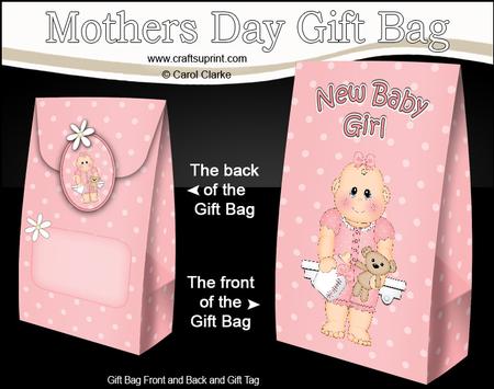 3D New Baby Girl Gift Bag Mini Kit