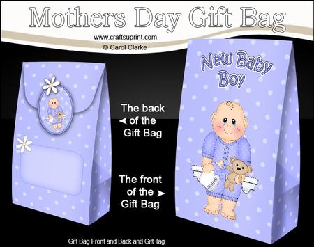 3D New Baby Boy Gift Bag Mini Kit
