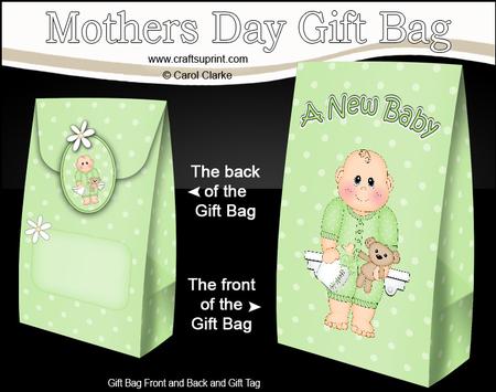 3D New Baby Gift Bag Mini Kit