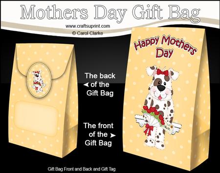 3D Spotty Dog's Flowers for Mum Mothers Day Gift Bag