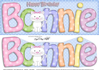 Large Dl Birthday Bonnie Cat Card & 3D Decoupage