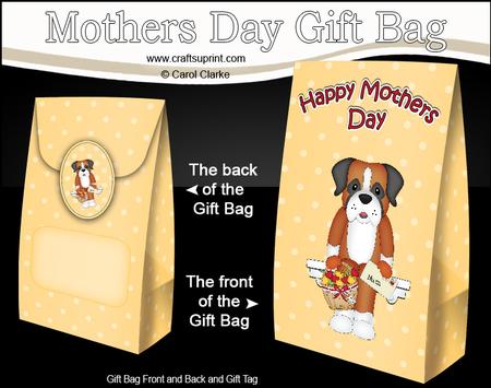 3D Boxer Dog's Flowers for Mum Mothers Day Gift Bag Mini Kit
