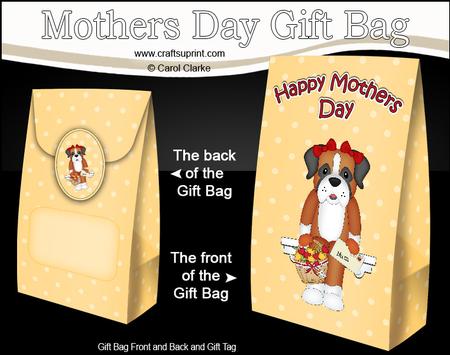3D Boxer Dog's Flowers for Mum Mothers Day Gift Bag Mini Kit
