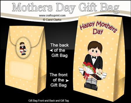 3D Scottish Boy's Flowers for Mum Mothers Day Gift Bag