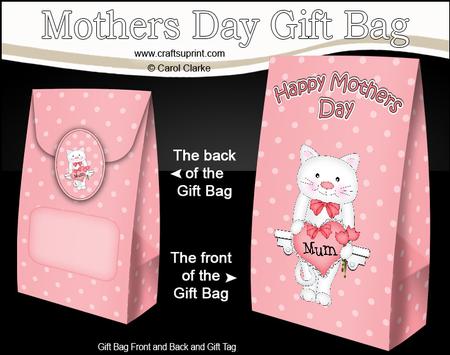3D Little Cat's Heart for Mum Mothers Day Gift Bag Mini Kit