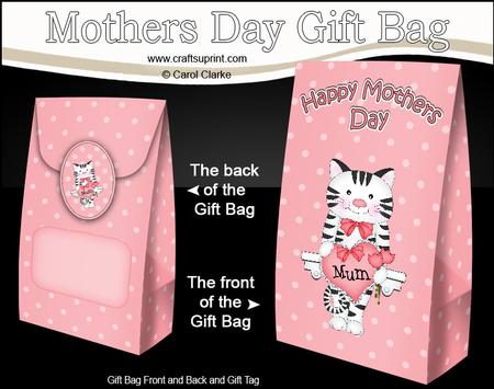 3D Little Cat's Heart for Mum Mothers Day Gift Bag Mini Kit