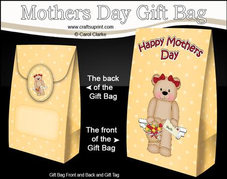 3D Livvy Bear's Flowers for Mum Mothers Day Gift Bag