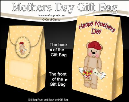 3D Austin Bear's Flowers for Mum Mothers Day Gift Bag