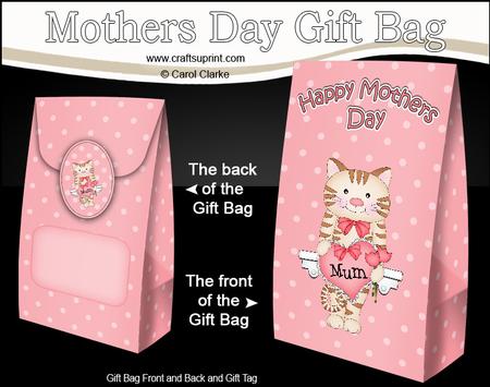 3D Little Cat's Heart for Mum Mothers Day Gift Bag Mini Kit