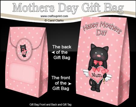 3D Little Cat's Heart for Mum Mothers Day Gift Bag Mini Kit