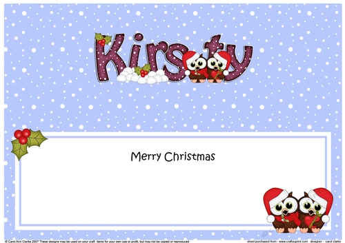 Large Dl Christmas Kirsty Owls Insert