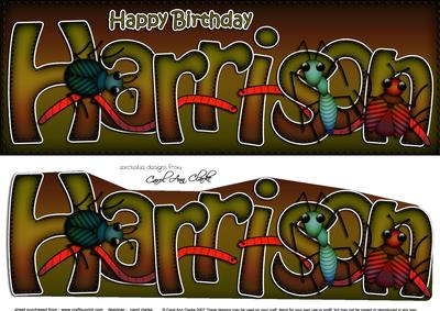 Large Dl Birthday Harrison Bugs 3D Decoupage
