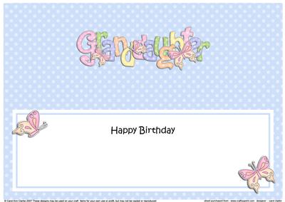 Large Dl Birthday Granddaughter Butterflies Insert