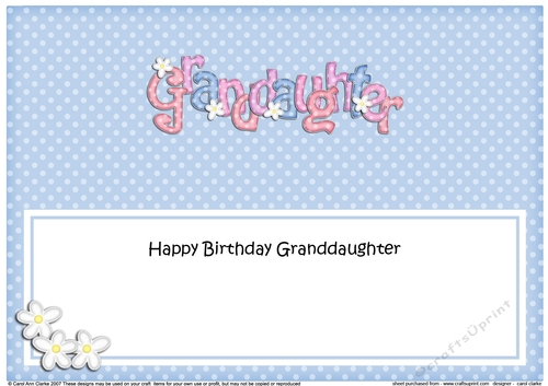 Large DL Birthday GRANDDAUGHTER Flowers insert