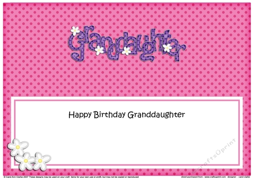 Large DL Birthday GRANDDAUGHTER Flowers insert