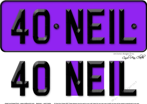 Large DL 40 NEIL Number Plate 3D decoupage