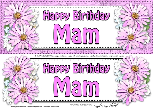 Large DL Birthday MAM Daisies Floral 3D decoupage