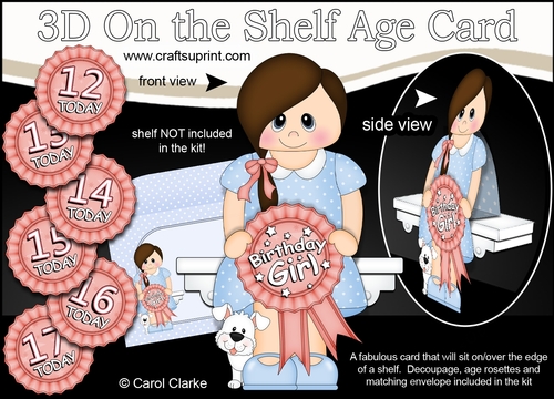 3D On the Shelf Card Kit - Little Teen Hayley is the Birthday Girl with ages 12 - 17 age Rosette Decoupage