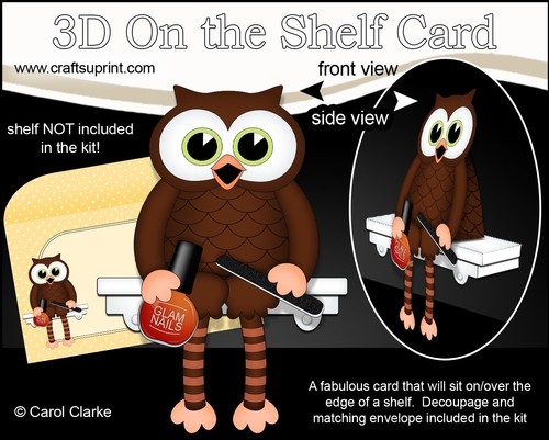 3D On the Shelf Card Kit - Little Hoot Owl Glam Nails Nail Technician