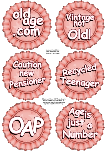 3D Fun Age Sayings Rosette Decoupage Sheet