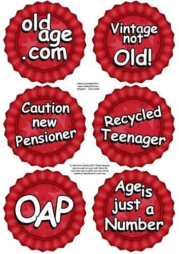 3D Fun Age Sayings Rosette Decoupage Sheet