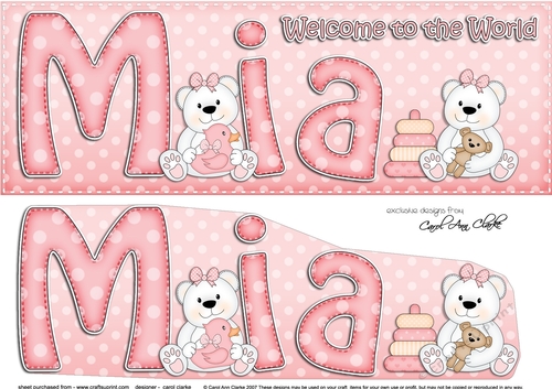 Large DL Welcome to the World MIA 3D decoupage