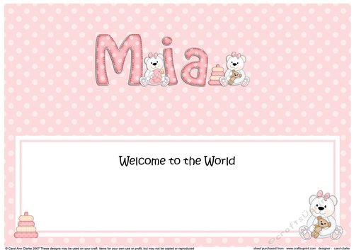 Large DL Welcome to the World MIA insert