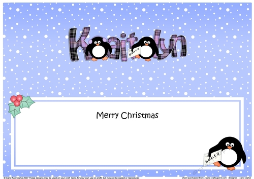 Large DL Merry Christmas KAITLYN insert