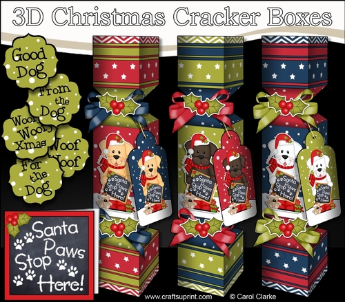 3D Golden, Chocolate and White Labrador Dog Christmas Cracker Boxes