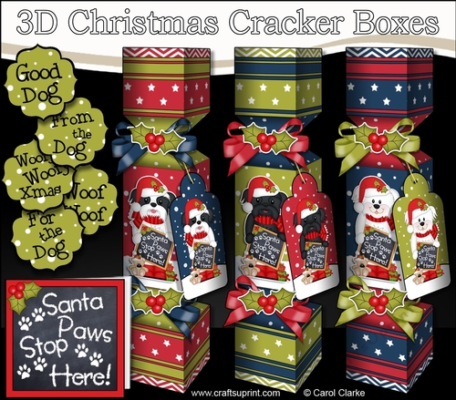 3D Black Schitzu and Black and White Schitzu and Bichon Frize dog Christmas Cracker Boxes