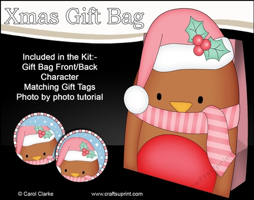3D Christmas Bobbin Robin Gift Bag Mini Kit