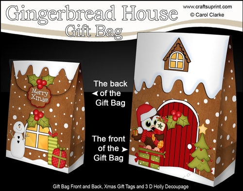 3D Christmas Little Hoot Owl delivers presents to the Gingerbread House Gift Bag Mini Kit