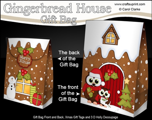 3D Christmas Hoot and Little Hoot Owl visit the Gingerbread House Gift Bag Mini Kit