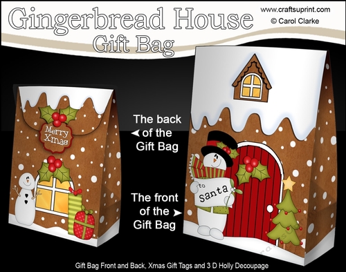 3D Christmas Snowman Rio has a Letter for Santa at the Gingerbread House Gift Bag Mini Kit