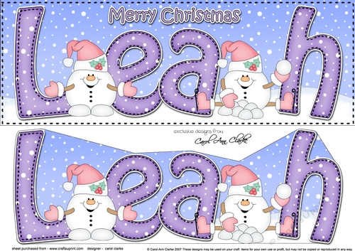 Large DL Merry Christmas LEAH 3D decoupage 